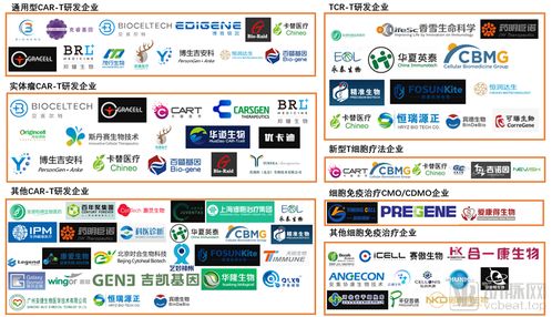 累計融資超70億元 國內細胞免疫治療企業全圖譜與貿易代理新機遇